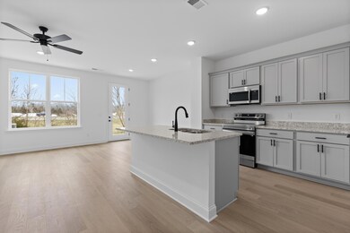 Lily Kitchen 1