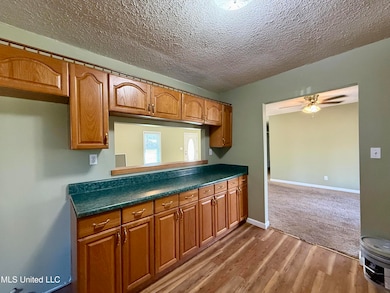 970 Ripley Ave, Ashland, MS 38603 - photo 6