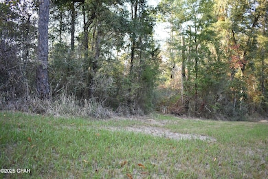 Lot 1 Lakeview Rd, Caryville, FL 32427 - photo 2