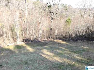 5465 Red Valley Rd, Remlap, AL 35133 - photo 7