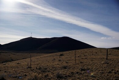 View of privately owned 659 acres to the south