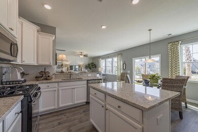 303 Bracken Fern Rd, Moncks Corner, SC 29461 - photo 3