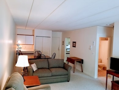 Totten Pond Village unit 16A, Waltham, MA 02451 - photo 6