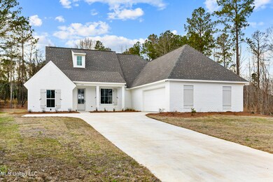 109 Herons Bay Cir, Madison, MS 39110 - photo 2