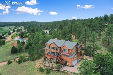 514 Hopi Cir, Divide, CO 80814 - photo 3