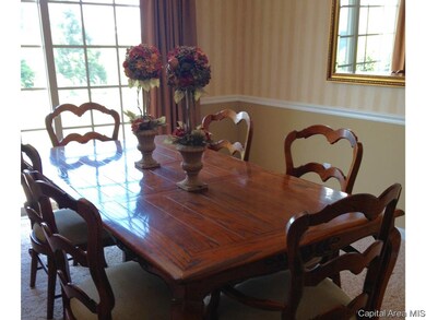 413 Delaney Dr, Jacksonville, IL 62650 - photo 7