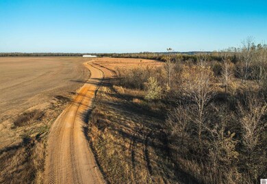 0 Wolf Island Rd, Clinton, KY 42031 - photo 4