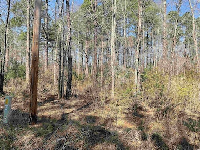 TBD Florence Ln, Kingstree, SC 29556 - photo 4