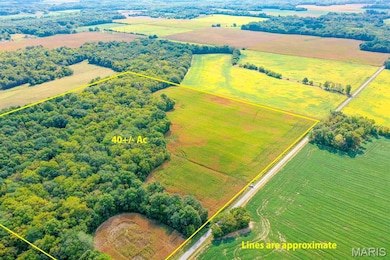 TBB Ayers Rd, Greenville, IL 62246 - photo 2