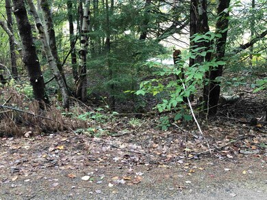 00 Hemlock Dr, Fitzwilliam, NH 03447 - photo 4