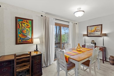 1017 Brookdale Dr unit 1017, Carpentersville, IL 60110 - photo 7