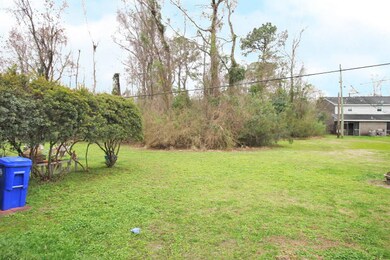 Rear Yard After Exiting Porch