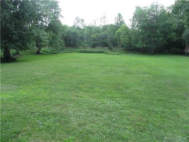 Yard. As you can see...no rear neighbors!
