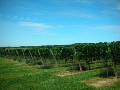 7908 Oregon Rd unit 2, Cutchogue, NY 11935 - photo 2