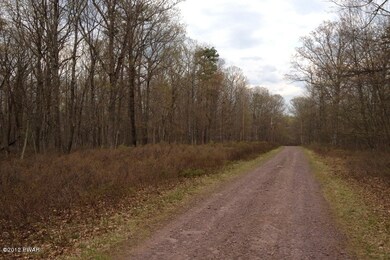 156 Mountain Top Rd, Lackawaxen Township, PA 18435 - photo 3