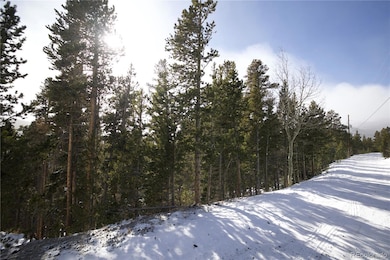 Lot 37 Vista Rd, Saint Mary's, CO 80452 - photo 3