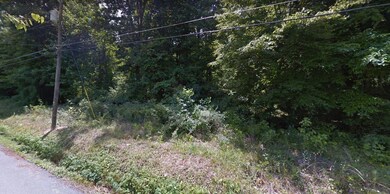lots roadside 2
