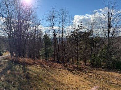 TBD Autumn Point Trail, Fancy Gap, VA 24328 - photo 4