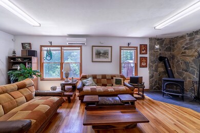 141 Alto Rd, Vesuvius, VA 24483 - photo 5