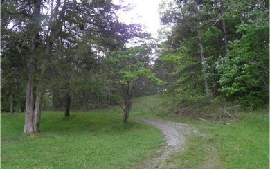 Additional View