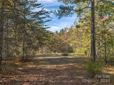 00 River Park Ln unit 27, White Oak, NC 28756 - photo 3