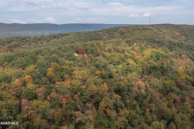 00 Pine Ridge Rd, James Creek, PA 16657 - photo 3