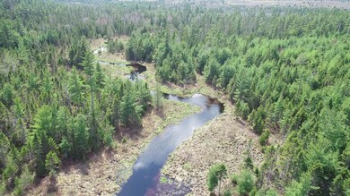 DJI_0310