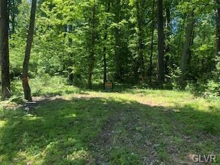 0 Fels Rd unit 668327, Quakertown, PA 18951 - photo 4