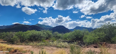 TBD E Ramsey Canyon Rd Lot D -- unit D, Hereford, AZ 85615 - photo 7