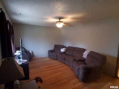 9212 N 1000th Rd, Effingham, IL 62401 - photo 2