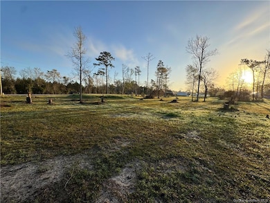 2802 Dosite Broussard Rd, Sulphur, LA 70665 - photo 6