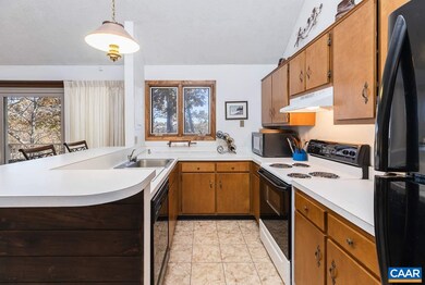 139 Eagles Ct, Wintergreen Resort, VA 22967 - photo 7