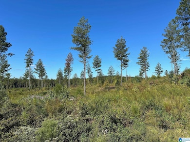 0 County Road 492 unit 1 21400533, Muscadine, AL 36269 - photo 6