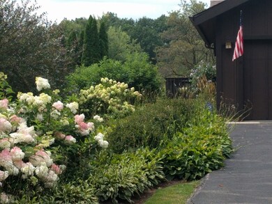 Spring & summer photo with perennials in bloom