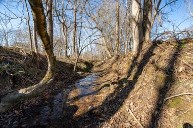 3495 Wj Robinson Rd, Cookeville, TN 38506 - photo 5