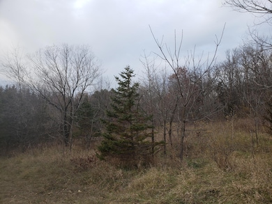 Lot 2 & 3 County Road M 202nd St, Alden Township, WI 54026 - photo 5