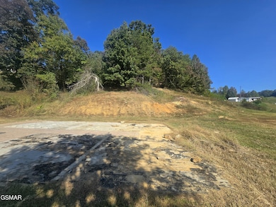 1009 Franklin Ln, Sevierville, TN 37876 - photo 4