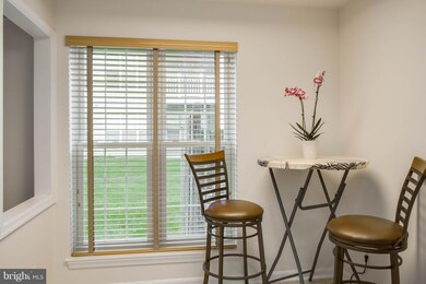 46878 Clarion Terrace unit 100, Sterling, VA 20164 - photo 7