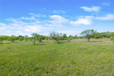 TBD County Road 276, Bertram, TX 78605 - photo 7