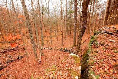 424 High Falls Rd, Saugerties, NY 12477 - photo 3