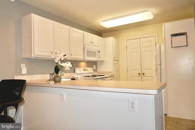 2013 Rudy Serra Dr unit 2C, Sykesville, MD 21784 - photo 3