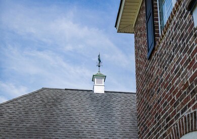 Weather vane