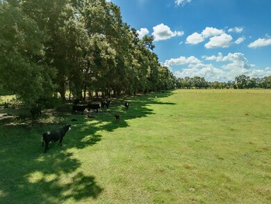 0 SW 80th St, Trenton, FL 32693 - photo 6