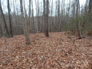 1061 Round Rock Rd unit 56, Johns River, NC 28645 - photo 3