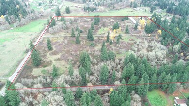 8416 State Route 702 S, Roy, WA 98580 - photo 4