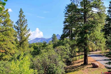 2613 Running Horse Place, Pagosa Springs, CO 81147 - photo 4