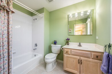 1007 Hodge Ln, Batavia, IL 60510 - photo 7