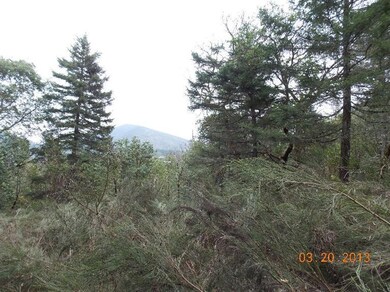 222 Gray Eagle Dr, Grants Pass, OR 97526 - photo 5