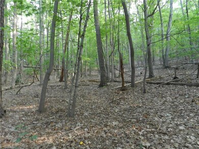 0 Trogdon St, Asheboro, NC 27205 - photo 3