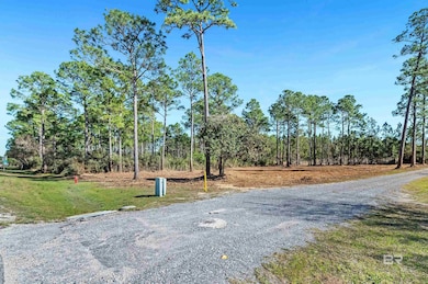 0 Canal Rd unit 2 375587, Orange Beach, AL 36561 - photo 2